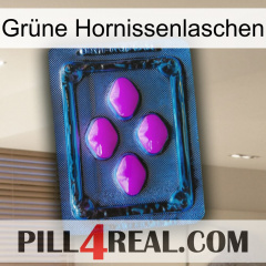 Grüne Hornissenlaschen 04